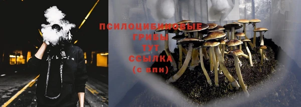 гашик Балахна