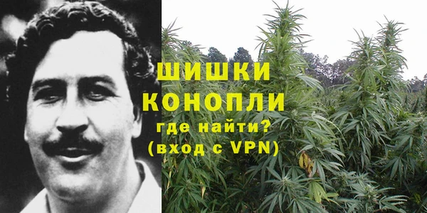 ГАЛЛЮЦИНОГЕННЫЕ ГРИБЫ Балабаново
