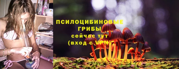 гашик Балахна